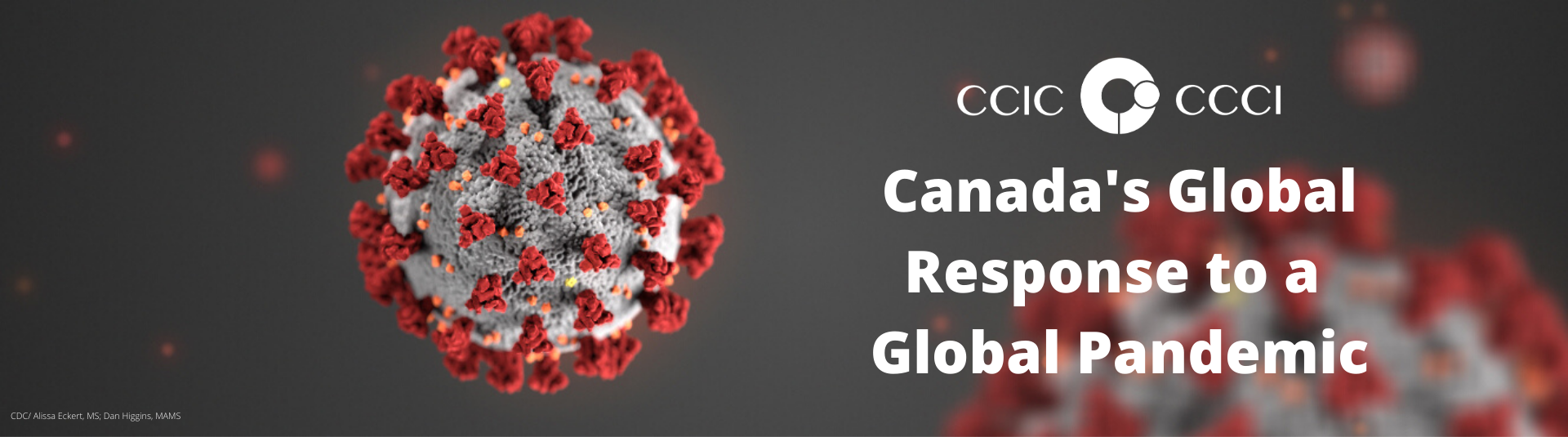 CESO Supports Canada’s Global Response to COVID-19