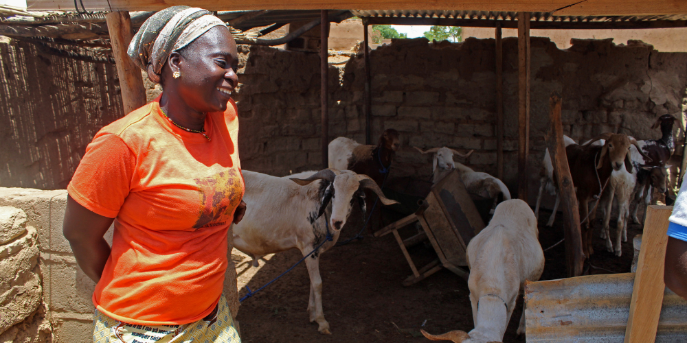 Nourrir les moutons et trouver l’indépendance financière