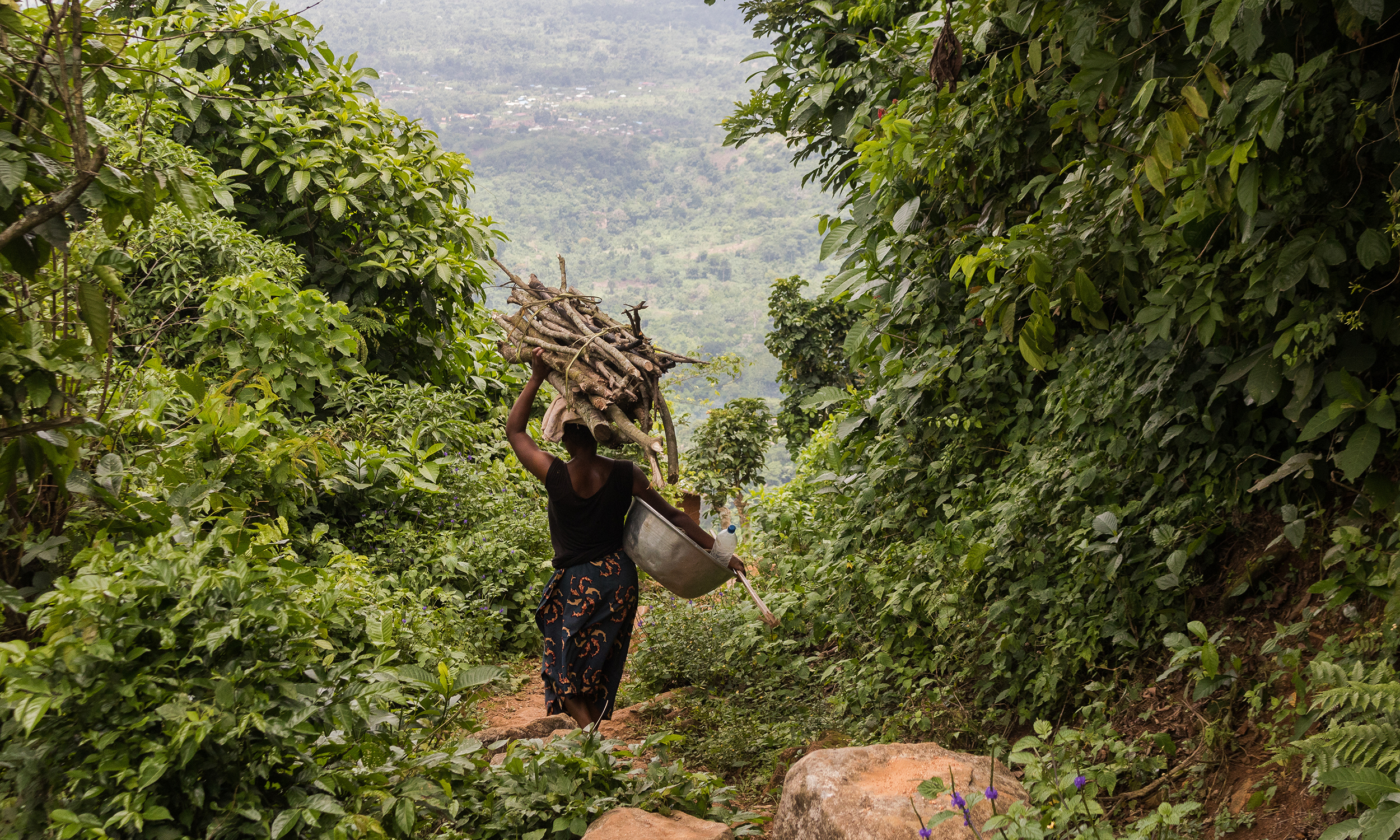 A rural women seen from behind carries wood in a forested area