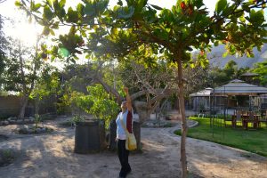 Liz at Refugio de Santiago